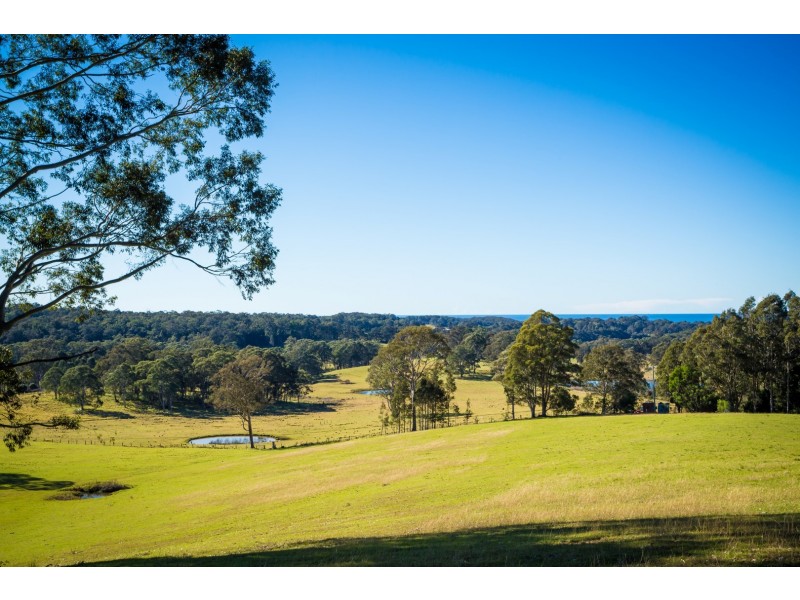 128 Wonga Road (Hillcrest), Narooma NSW 2546