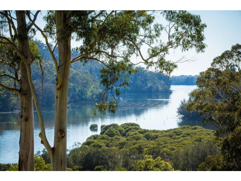 566 Wagonga Scenic Drive, Narooma NSW 2546