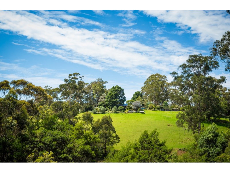 566 Wagonga Scenic Drive, Narooma NSW 2546