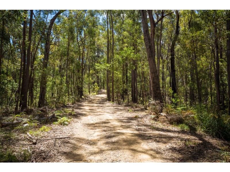 9275 Princes Highway, Tilba Tilba NSW 2546