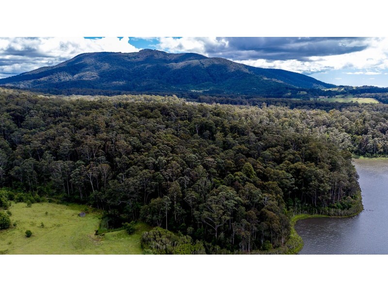 9275 Princes Highway, Tilba Tilba NSW 2546