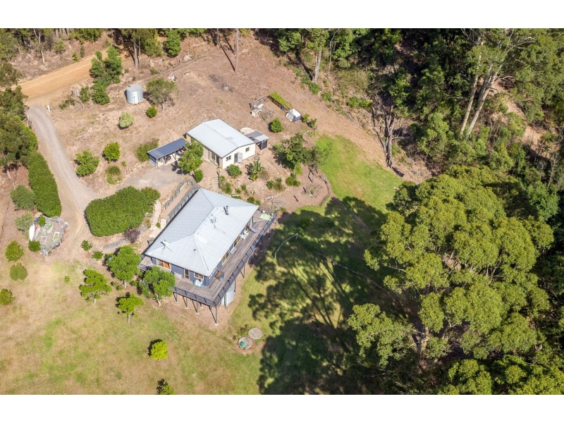 490 Punkalla Tilba Rd, Central Tilba NSW 2546