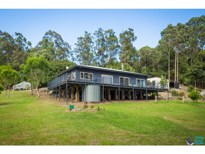 490 Punkalla Tilba Rd, Central Tilba NSW 2546