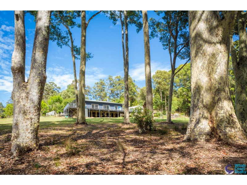 490 Punkalla Tilba Rd, Central Tilba NSW 2546