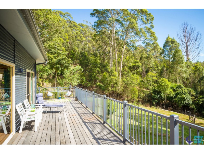 490 Punkalla Tilba Rd, Central Tilba NSW 2546