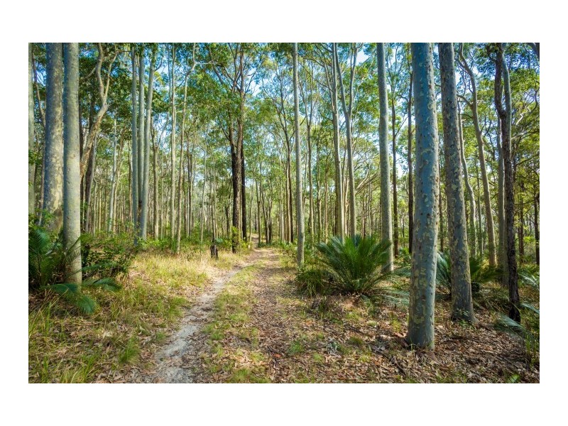 54 Duesburys Road, Dalmeny NSW 2546