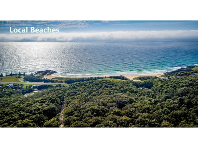 54 Duesburys Road, Dalmeny NSW 2546