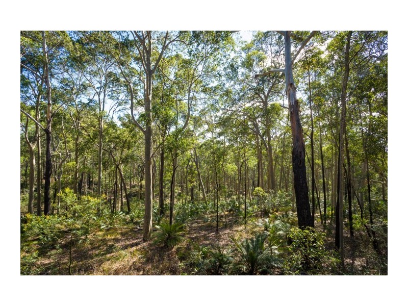 54 Duesburys Road, Dalmeny NSW 2546