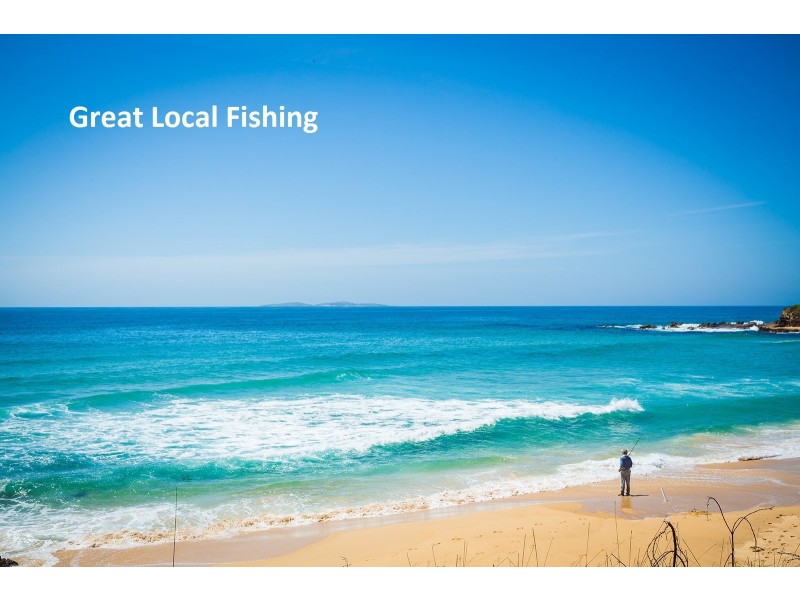 54 Duesburys Road, Dalmeny NSW 2546