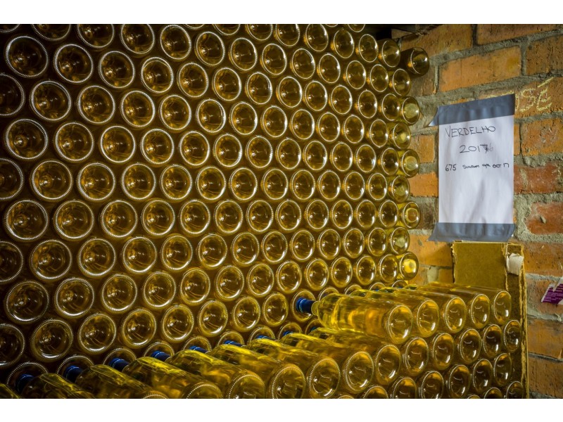 947 Old Highway, Central Tilba NSW 2546