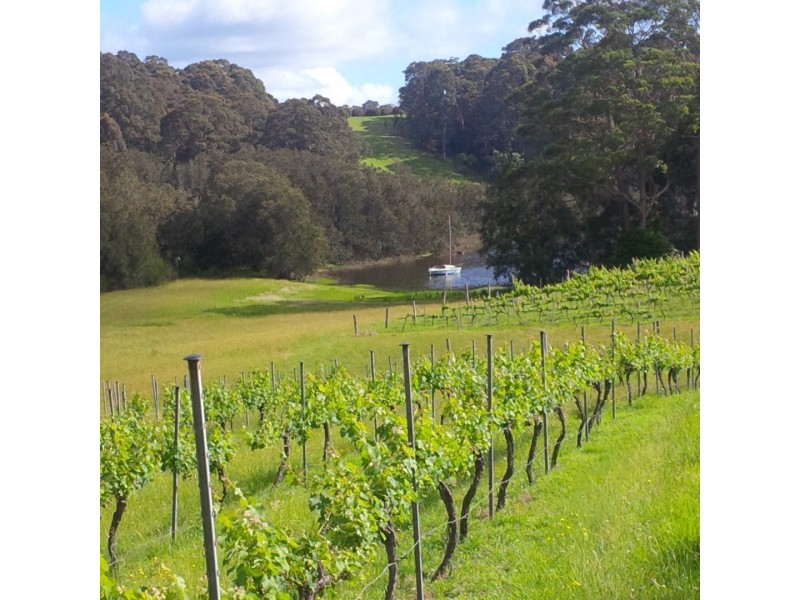 947 Old Highway, Central Tilba NSW 2546