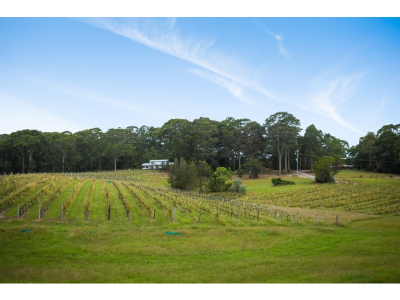 947 Old Highway, Central Tilba NSW 2546