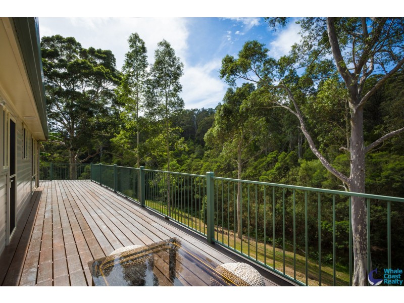 486 Punkalla Tilba Rd, Central Tilba NSW 2546