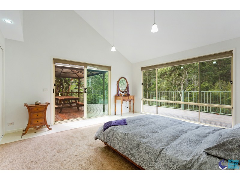 486 Punkalla Tilba Rd, Central Tilba NSW 2546