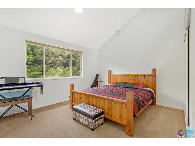 486 Punkalla Tilba Rd, Central Tilba NSW 2546