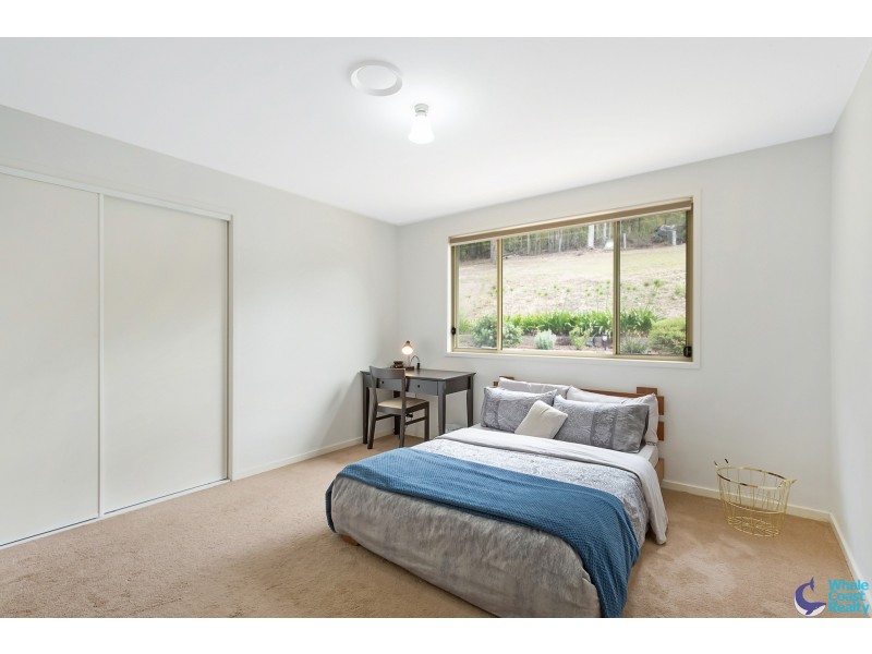 486 Punkalla Tilba Rd, Central Tilba NSW 2546