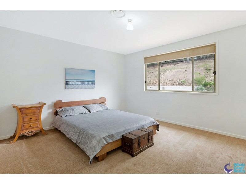 486 Punkalla Tilba Rd, Central Tilba NSW 2546