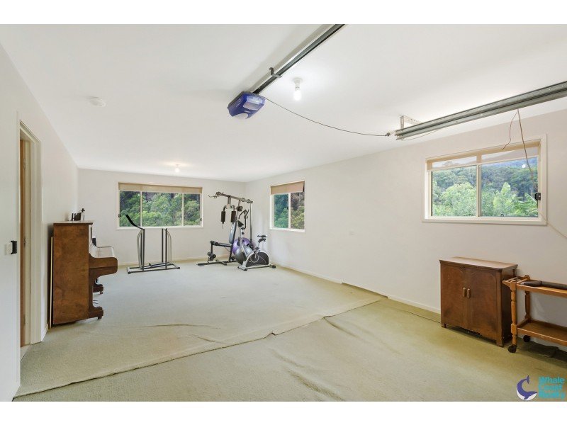 486 Punkalla Tilba Rd, Central Tilba NSW 2546