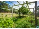 486 Punkalla Tilba Rd, Central Tilba NSW 2546