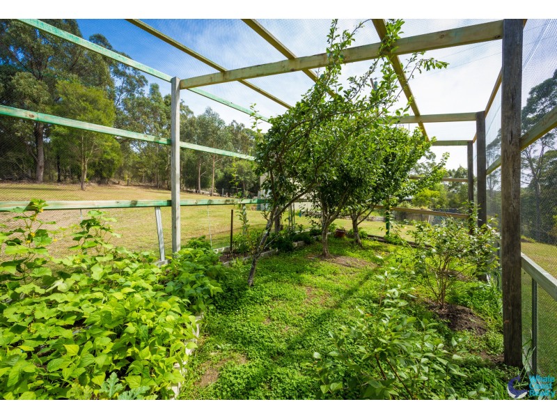 486 Punkalla Tilba Rd, Central Tilba NSW 2546
