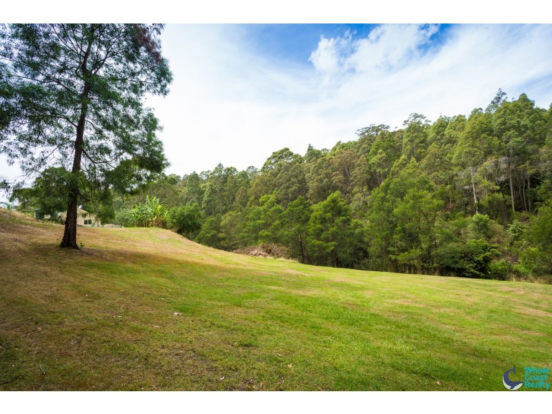 486 Punkalla Tilba Rd, Central Tilba NSW 2546