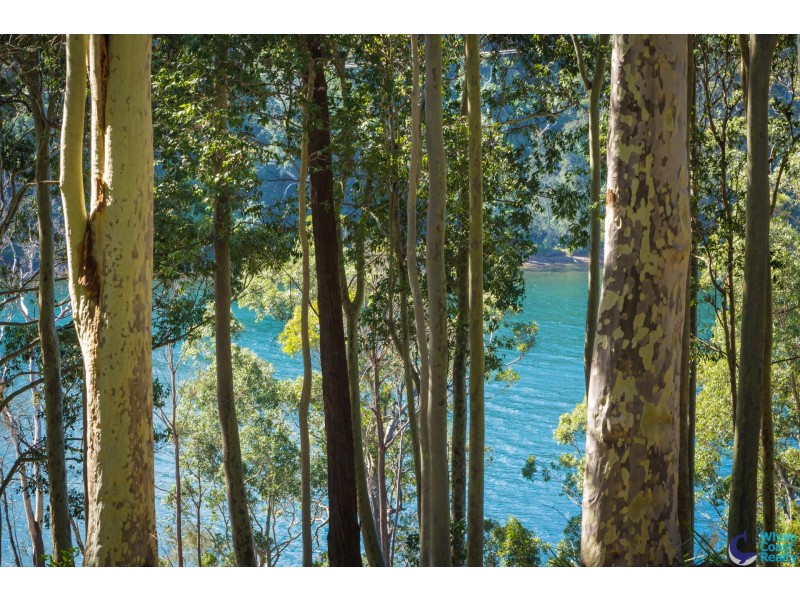 85/130 Rainforest Parkway, Narooma NSW 2546