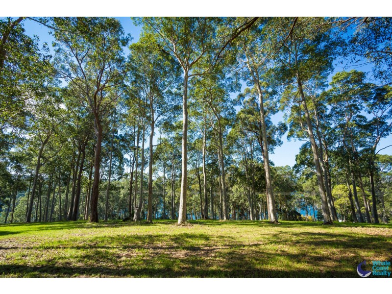 86/130 Rainforest Parkway, Narooma NSW 2546