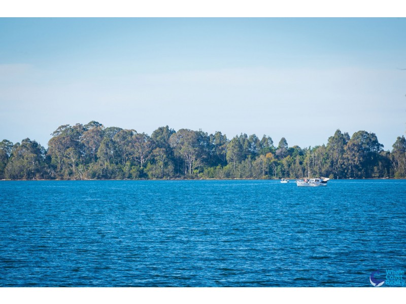 86/130 Rainforest Parkway, Narooma NSW 2546