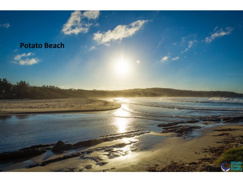 19 Long Point Street, Potato Point NSW 2545