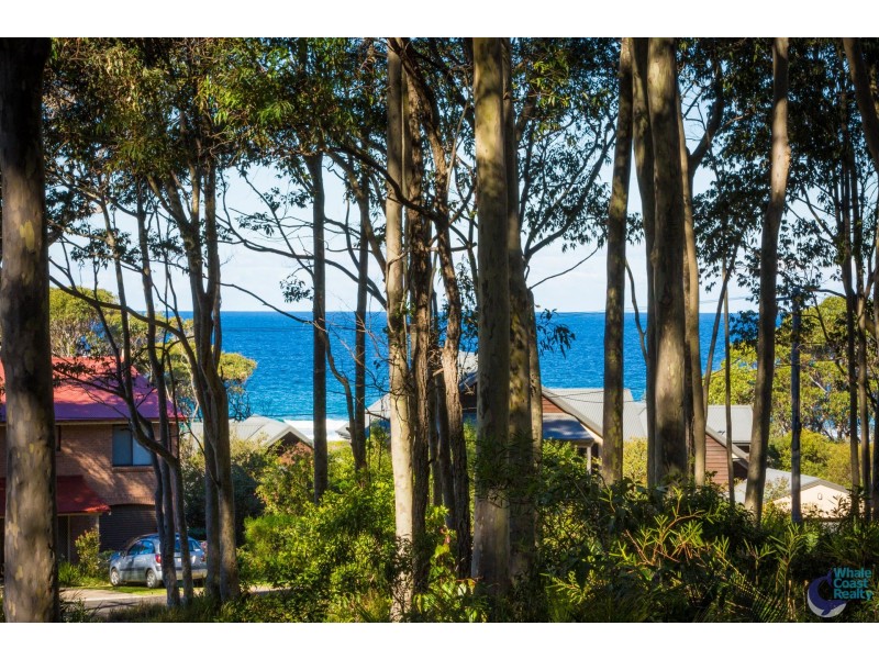 50 Maculata Circuit, Dalmeny NSW 2546