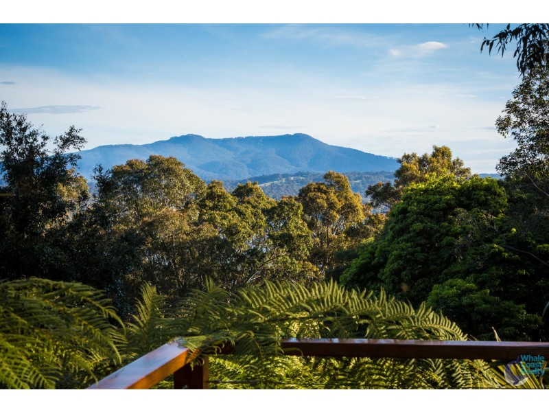 43 Eastaway Avenue, Narooma NSW 2546