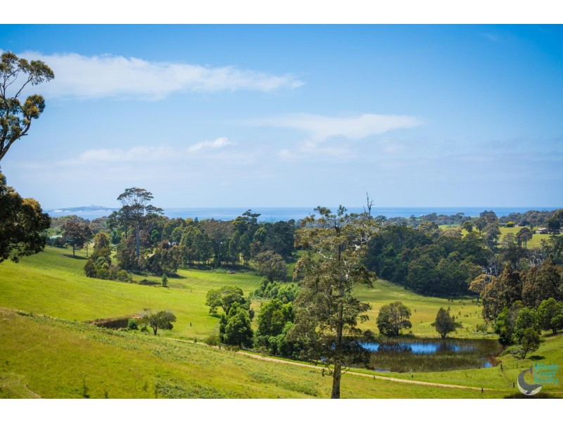 81 Wonga Road, Narooma NSW 2546