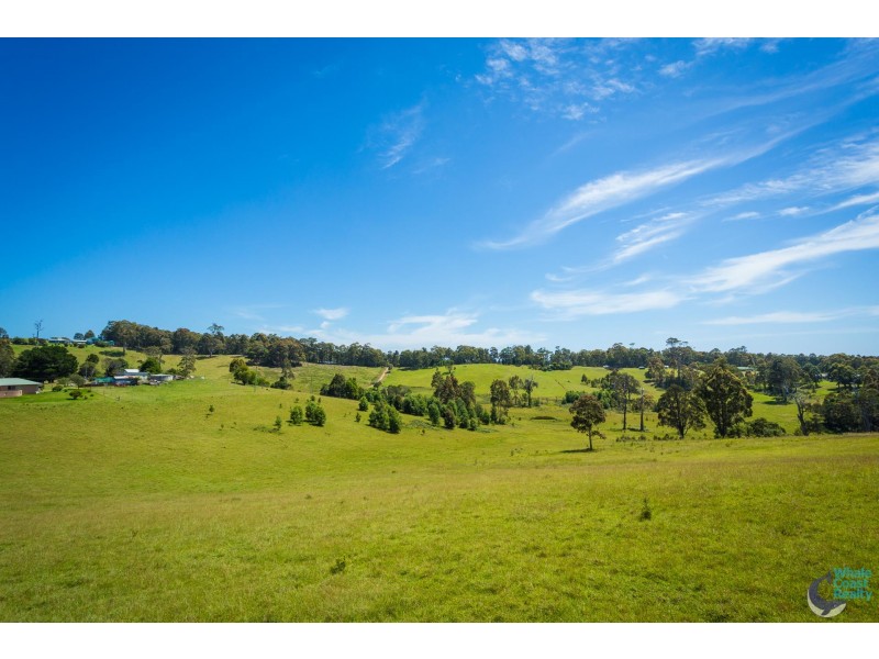 81 Wonga Road, Narooma NSW 2546