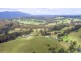 81 Wonga Road, Narooma NSW 2546