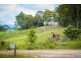 81 Wonga Road, Narooma NSW 2546