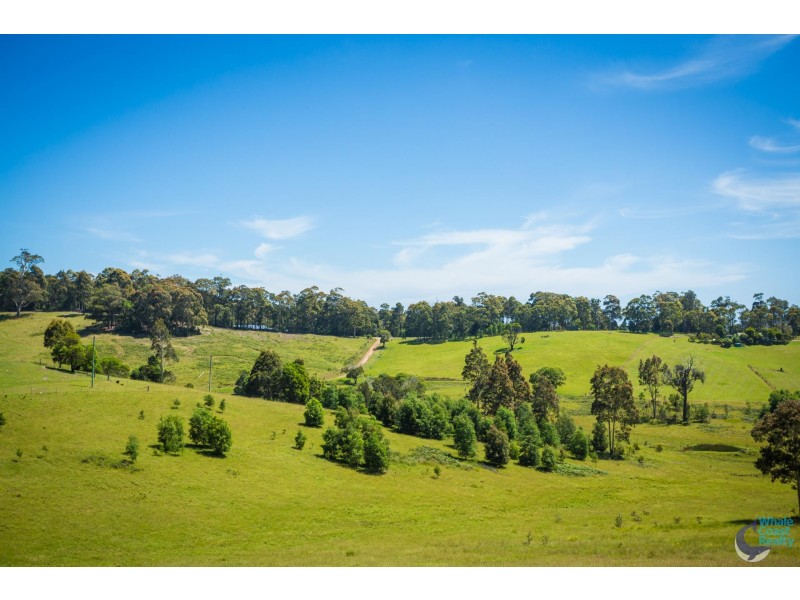 81 Wonga Road, Narooma NSW 2546