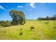 81 Wonga Road, Narooma NSW 2546