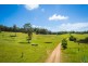 81 Wonga Road, Narooma NSW 2546