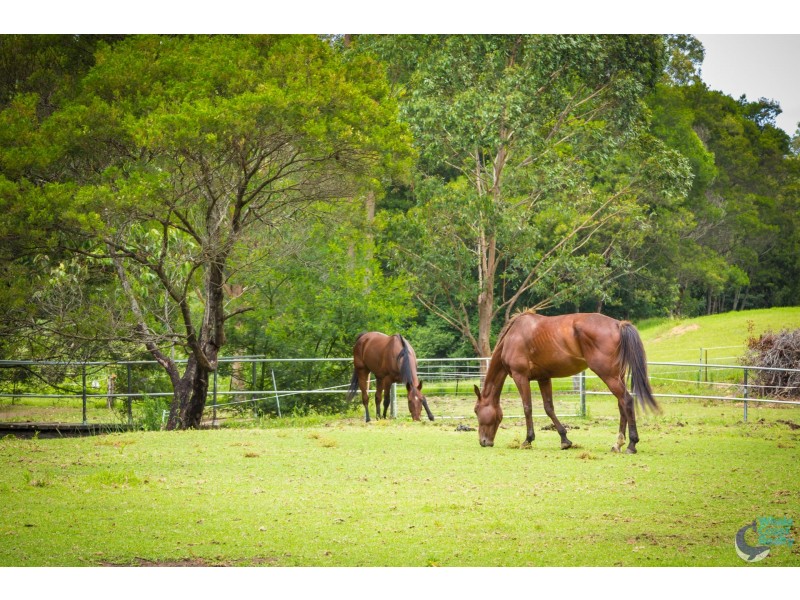 73 Corunna Road, Narooma NSW 2546
