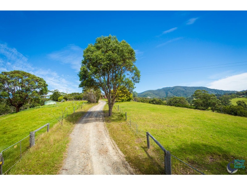 8217 Princes Highway, Central Tilba NSW 2546