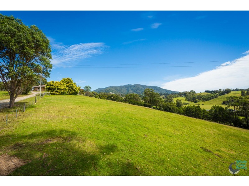 8217 Princes Highway, Central Tilba NSW 2546