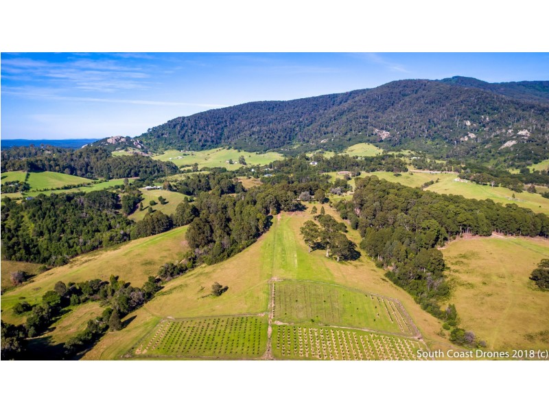 302 Punkalla Tilba Road, Central Tilba NSW 2546