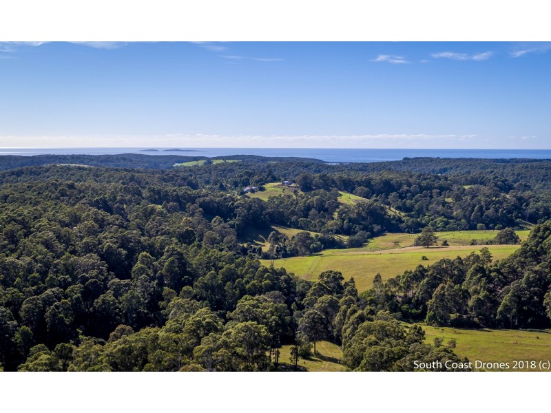 302 Punkalla Tilba Road, Central Tilba NSW 2546