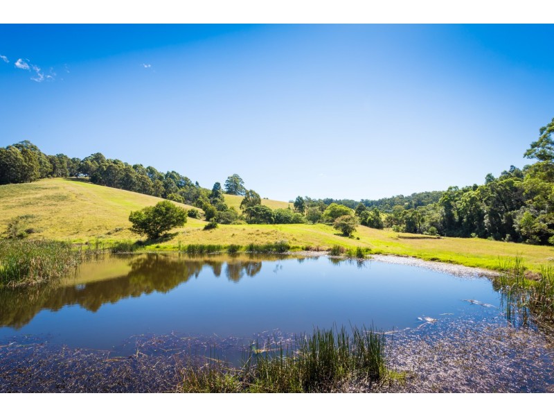 302 Punkalla Tilba Road, Central Tilba NSW 2546