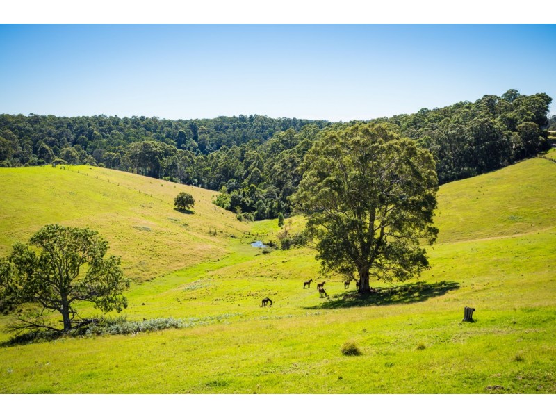 302 Punkalla Tilba Road, Central Tilba NSW 2546
