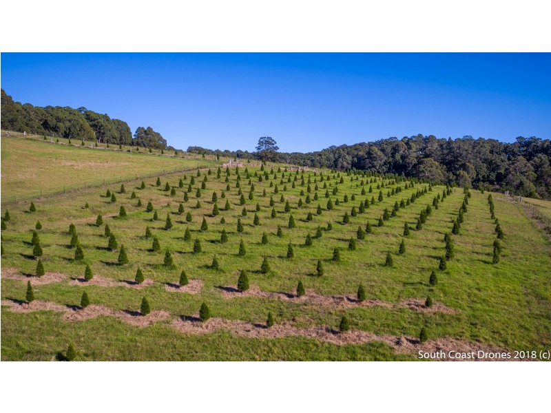 302 Punkalla Tilba Road, Central Tilba NSW 2546