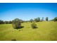 302 Punkalla Tilba Road, Central Tilba NSW 2546
