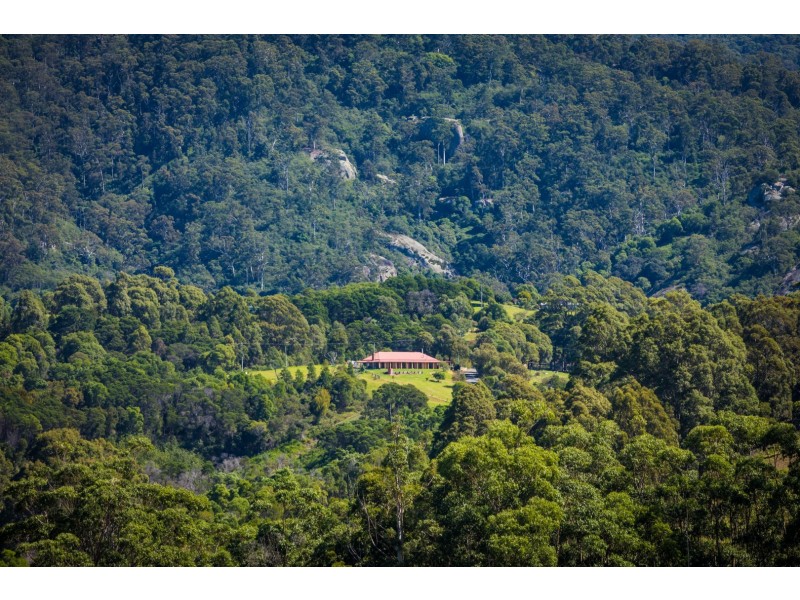 302 Punkalla Tilba Road, Central Tilba NSW 2546