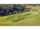 302 Punkalla Tilba Road, Central Tilba NSW 2546