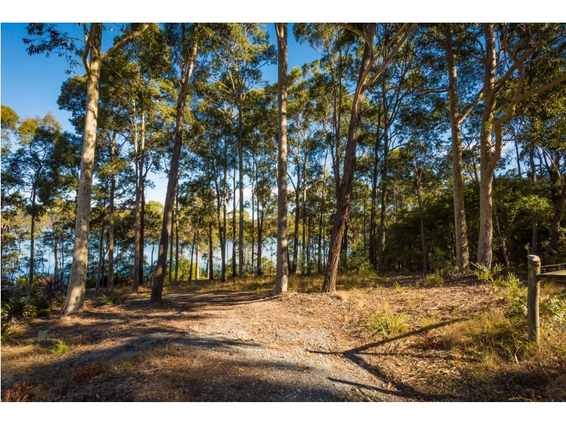 16 & 17/156-158 Riverview Road, North Narooma NSW 2546